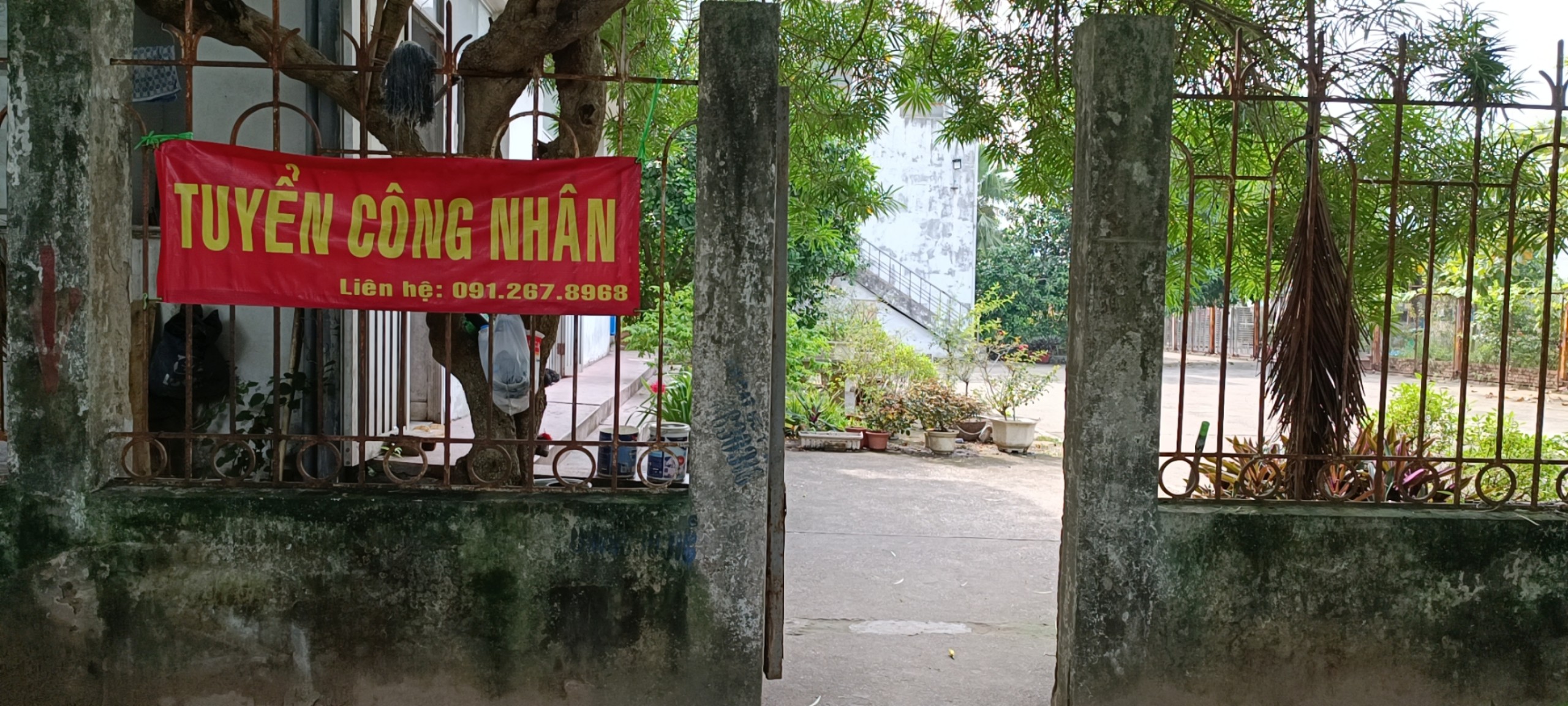 lĩnh vực hoạt động